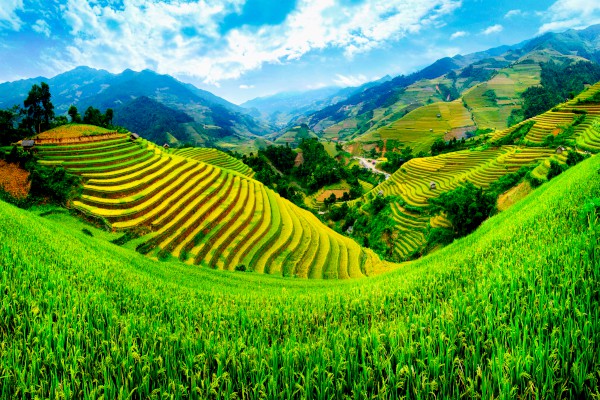 �߶����ڴ��������800����ƪ