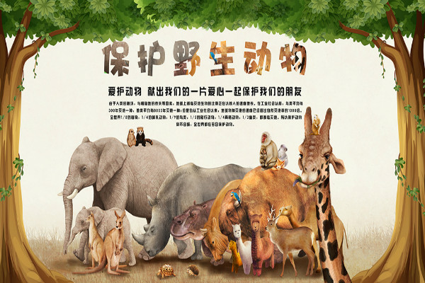 ����Ļ���������������ϧ������