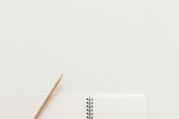 项目会计试用期工作总结700字