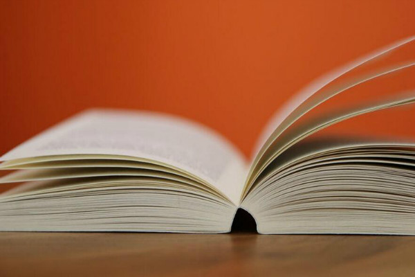 У����ѵ�ܽ�ģ��500��