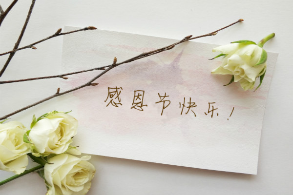 写感恩的作文600字左右