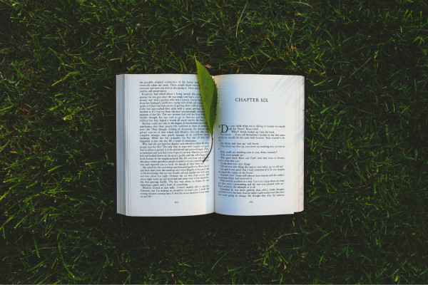 ��ƪ��־С����100�־�ѡ