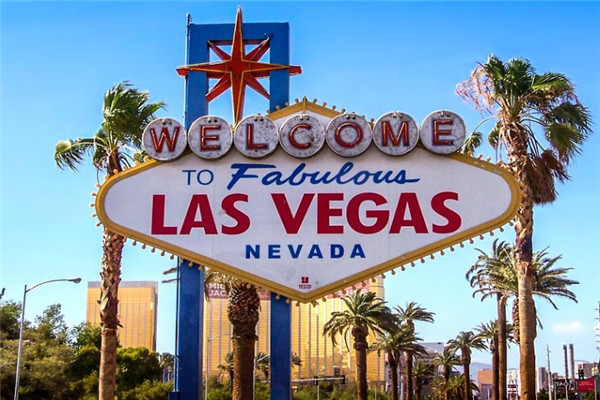 ������ѧ���У�����רҵ�������ĸ���