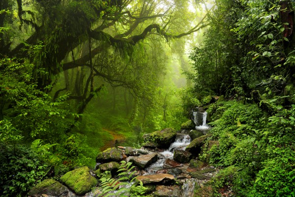 ���꼶д��300�����ġ���ƪ��