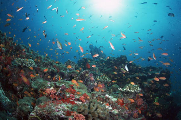 ���꼶��д���������200��