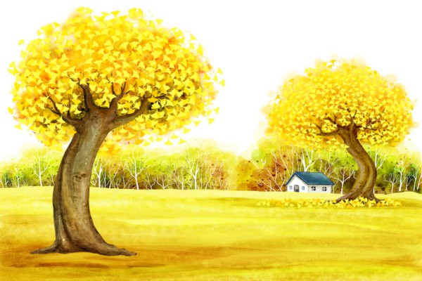 Сѧ���꼶д������300�֡���ƪ��