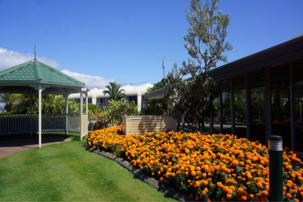 �����m�����뾳���E��ע�����(xi��ng)