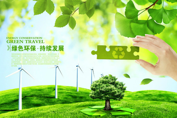 2019��ѡ��̼�����ı���