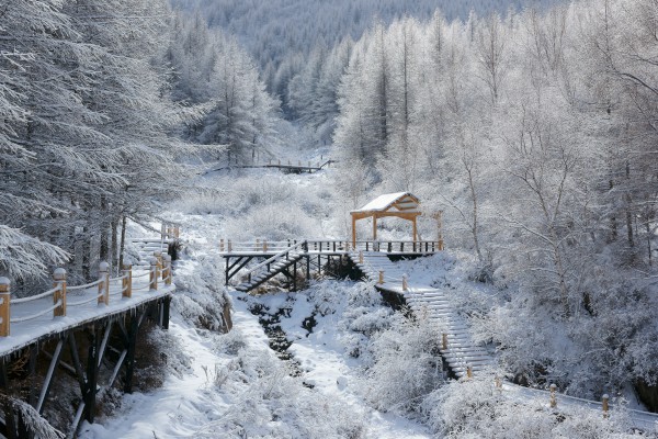 12��22�ն�������ף������ôд��