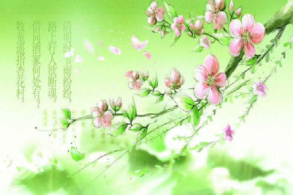 清明节见闻作文的三篇
