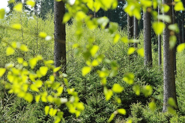 �W(xu��)У������(ji��)��Ĺ���(d��ng)�ĵá���ƪ��