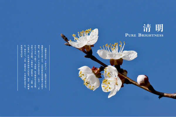 ��������Ϊ�������������ôд��