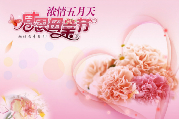 母亲节的小学生日记500字