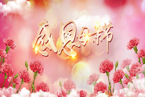 母亲节的高二记事作文1000字