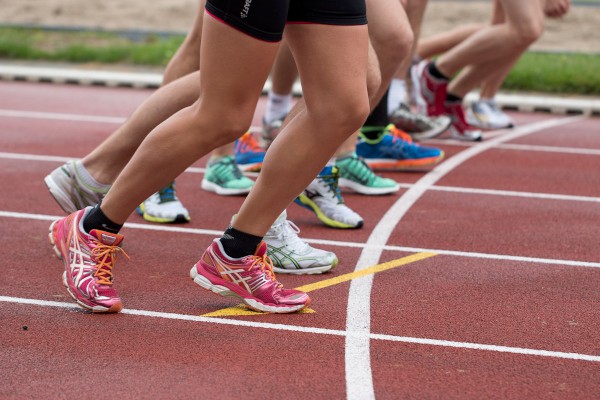 У԰һ�ǵ����꼶���ġ���ƪ��