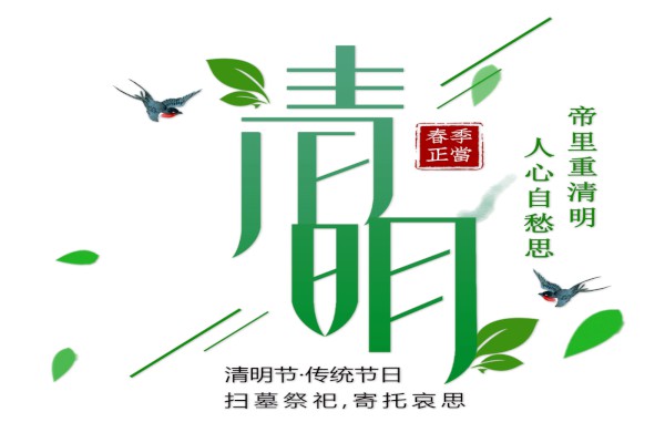 2019�����ڼ����ĵ����ϼ�