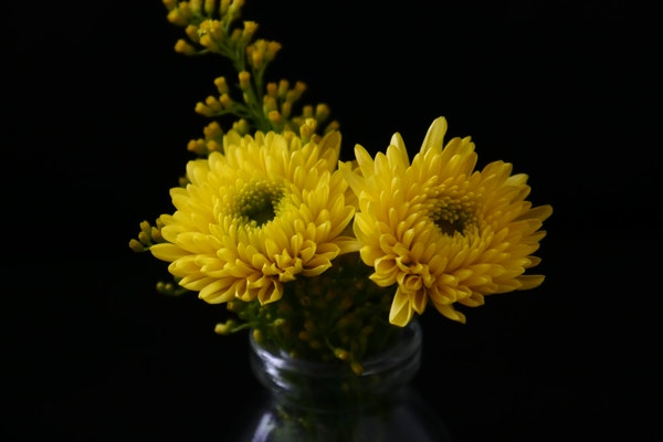 ���x������(ji��)��Ĺ�ĵü����ԡ���ƪ��