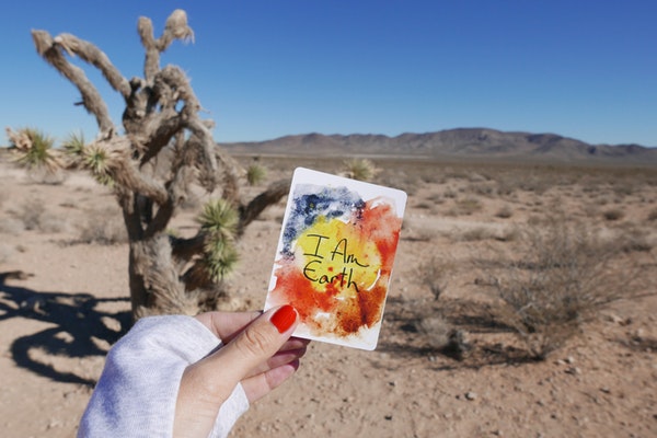 ������������յ��ĵ���᡾��ƪ��