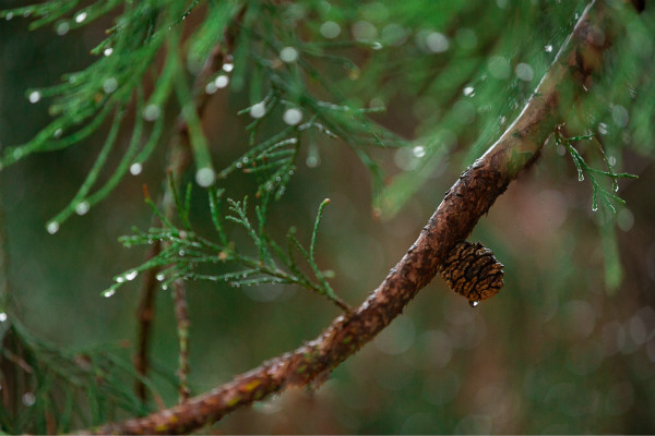 ���绷���ն���ף������