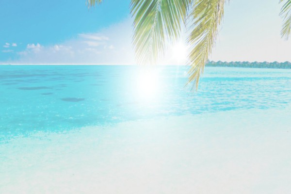 ������������800����ƪ