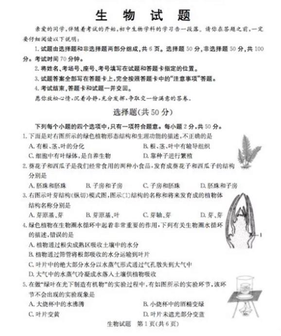 2019��ɽ���ĳ��п������Ծ����ѹ�����