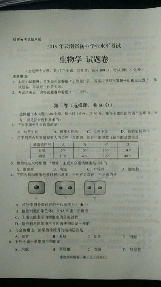 2019�����ϵ����п������Ծ����ѹ�����