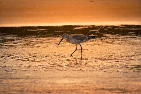 ���м��������100������