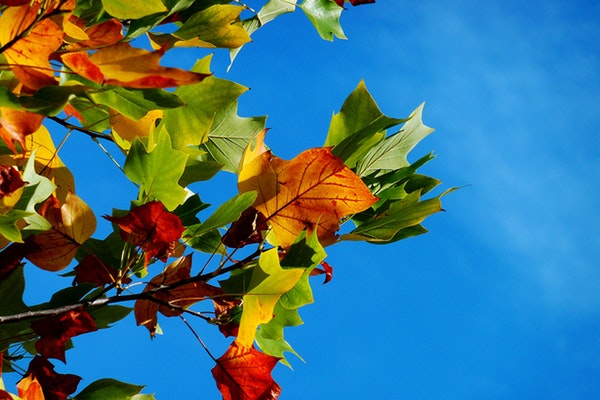 �׶�԰����������ӻ�߻��������ϼ�ƪ��