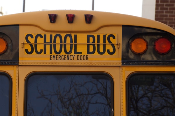 2019��ѧ��һ���ĵ����300��5ƪ