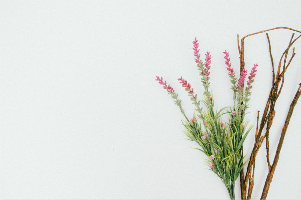 �񽱸���һ�仰15�ִ�ȫ