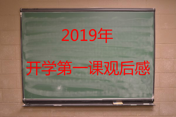 2019年小开云kaiyun(中国)一年级开开云kaiyun(中国)第一课观后感：升旗仪式现在开始