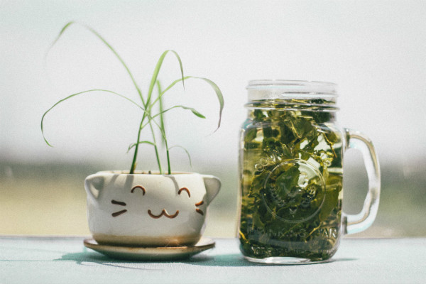 二年级有关感恩作文范文
