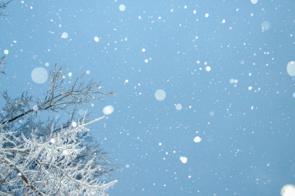 大雪节气快乐的祝福短信