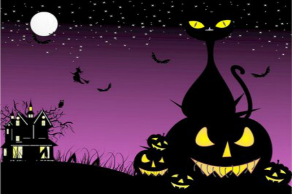 2019��ʥ�ڻ�߻�������ʮƪ