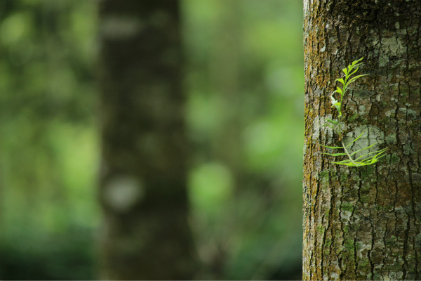 ���ڻ������ݽ���400������