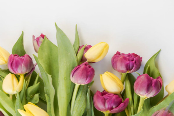 �����л��ݽ���400����ƪ