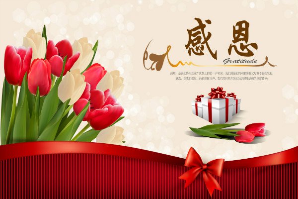 ���й��ڸж���������ʮƪ