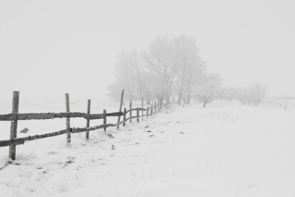 ��������ѡ���ݽ���500����ƪ