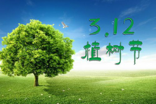 2020年植树节活动方案20篇