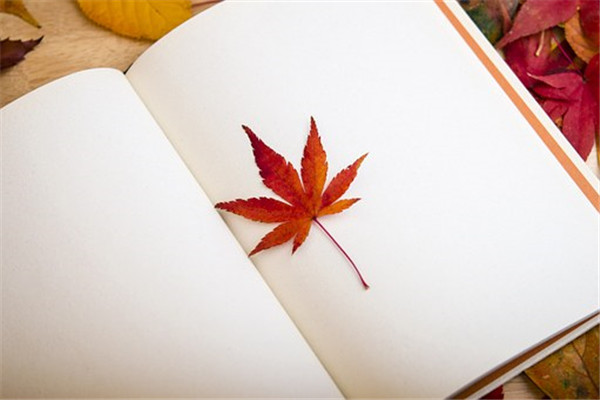 (yu)׃@@LһZ7ƪ