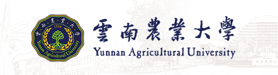 云南农业大学2021高考录取通知书查询入口