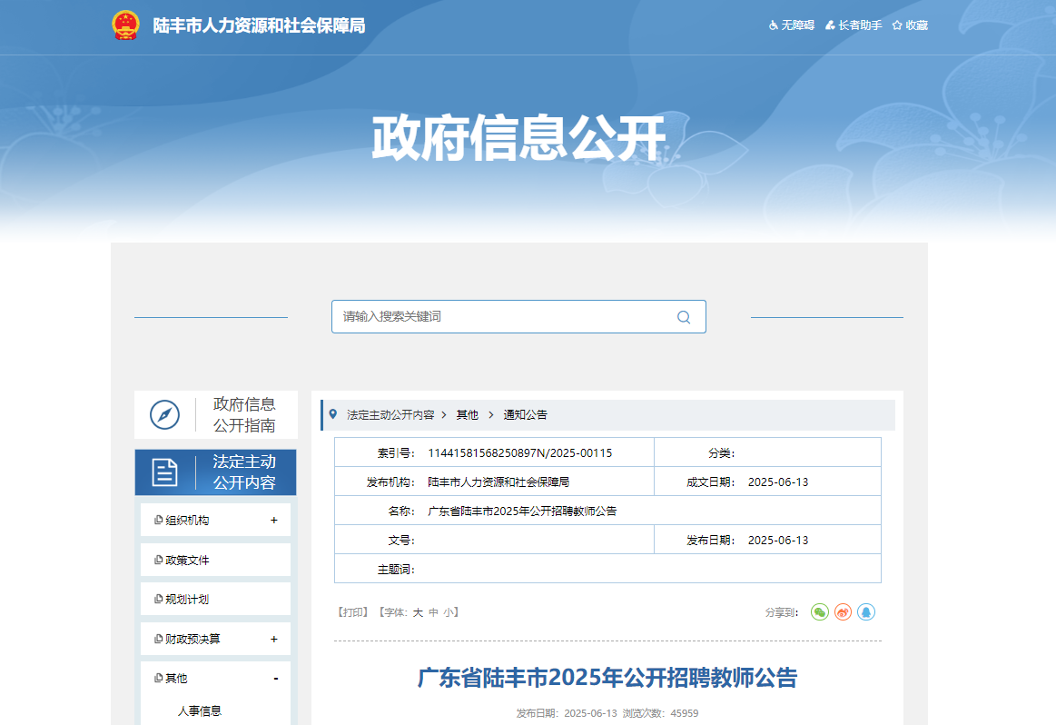 2025年广东汕尾陆丰市公开招聘教师公告（6月19日-25日报名）
