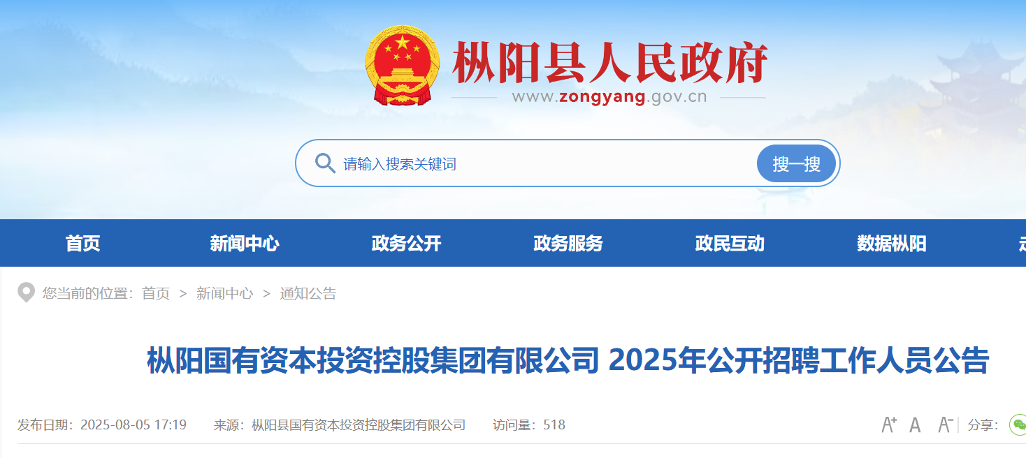 2025年安徽铜陵枞阳国有资本投资控股集团有限公司公开招聘工作人员8名 8月18-27日报名
