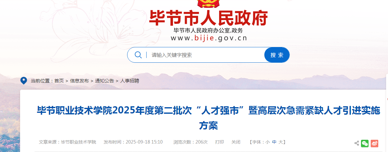 2025贵州毕节职业技术开云kaiyun(中国)院第二批次“人才强市”引进人才公告