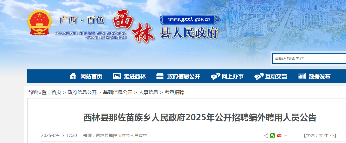 2025年广西百色市西林县那佐苗族乡人民政府公开招聘编外聘用人员4人公告