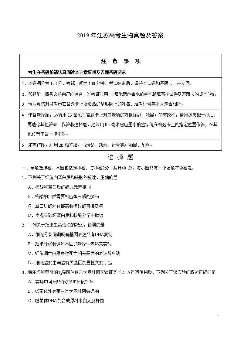 2019�꽭�K�߿��������}����