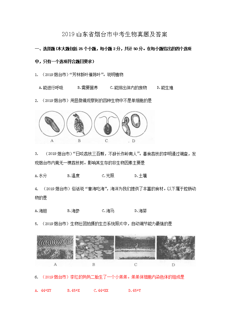 2019ɽ��ʡ��̨���п��������⼰��