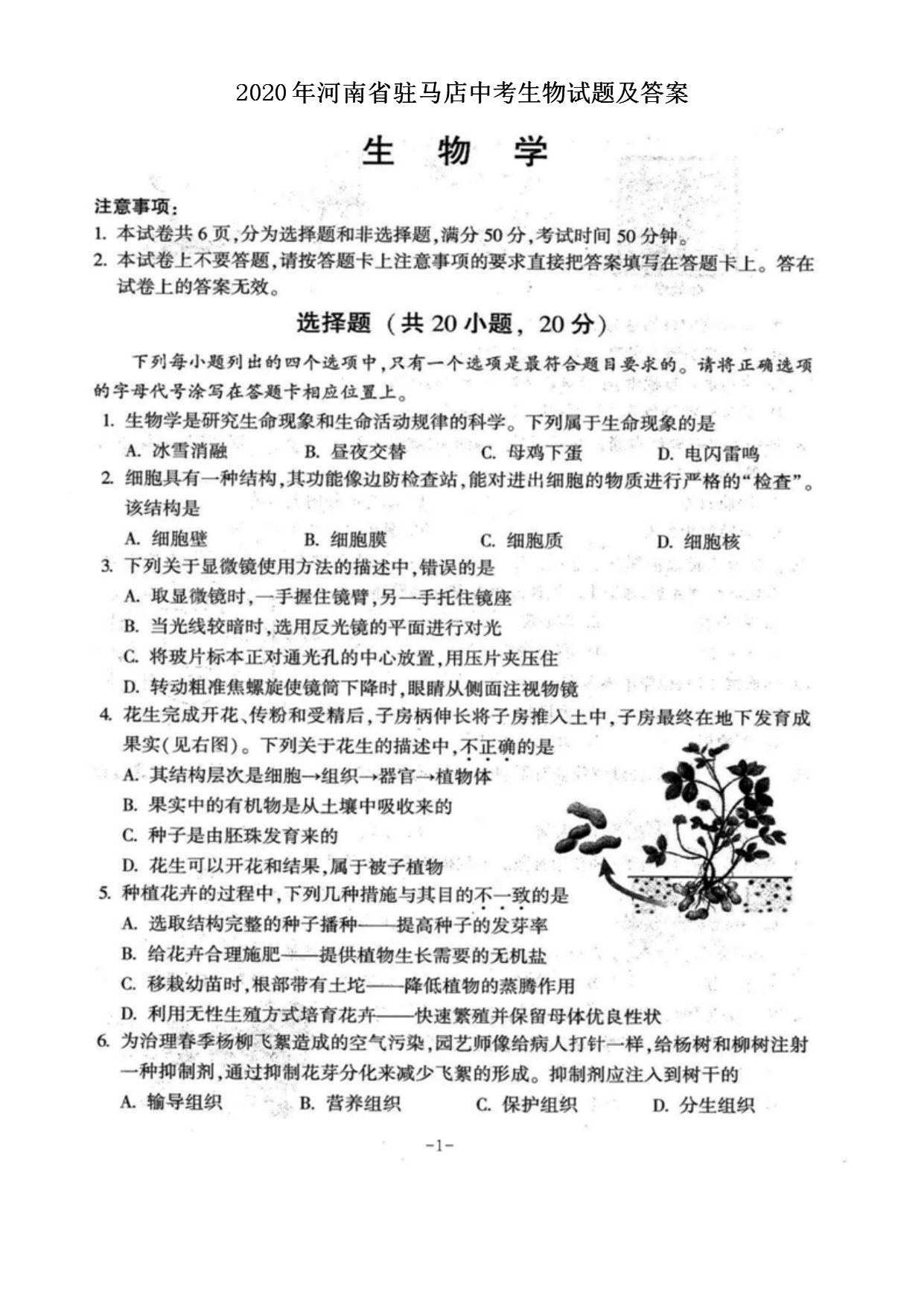 2020�����ʡפ�����п��������⼰��