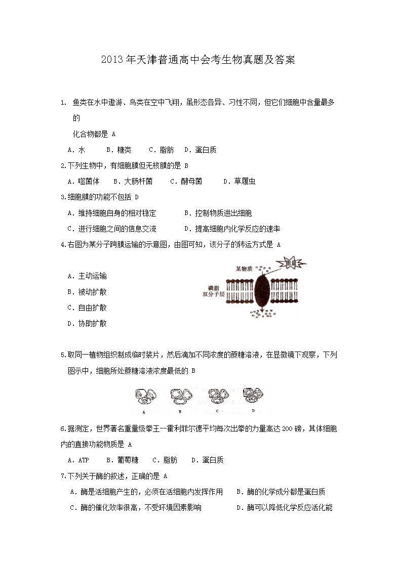 2013�������ͨ���лῼ�������⼰��