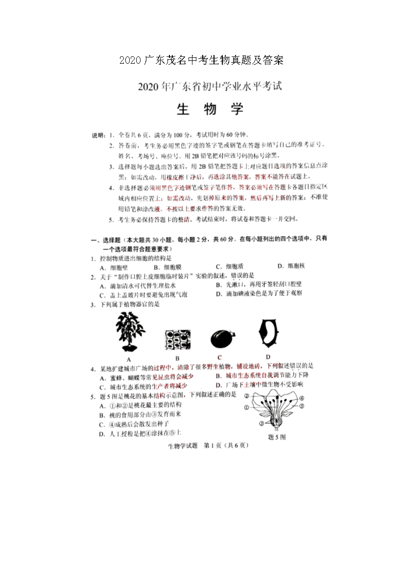 2020�㶫ï���п��������⼰��